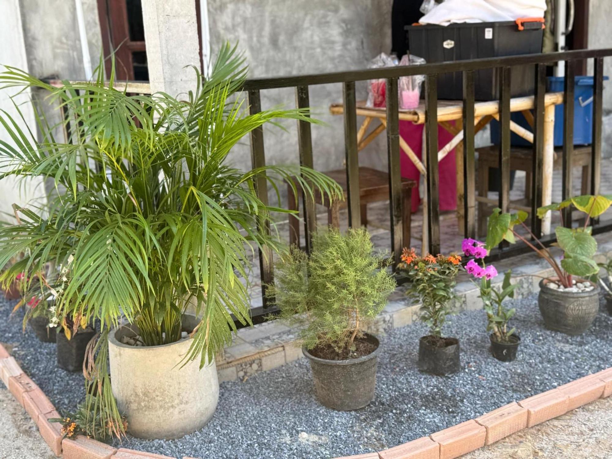 קו לנטה Lanta Natural Hut Garden מראה חיצוני תמונה