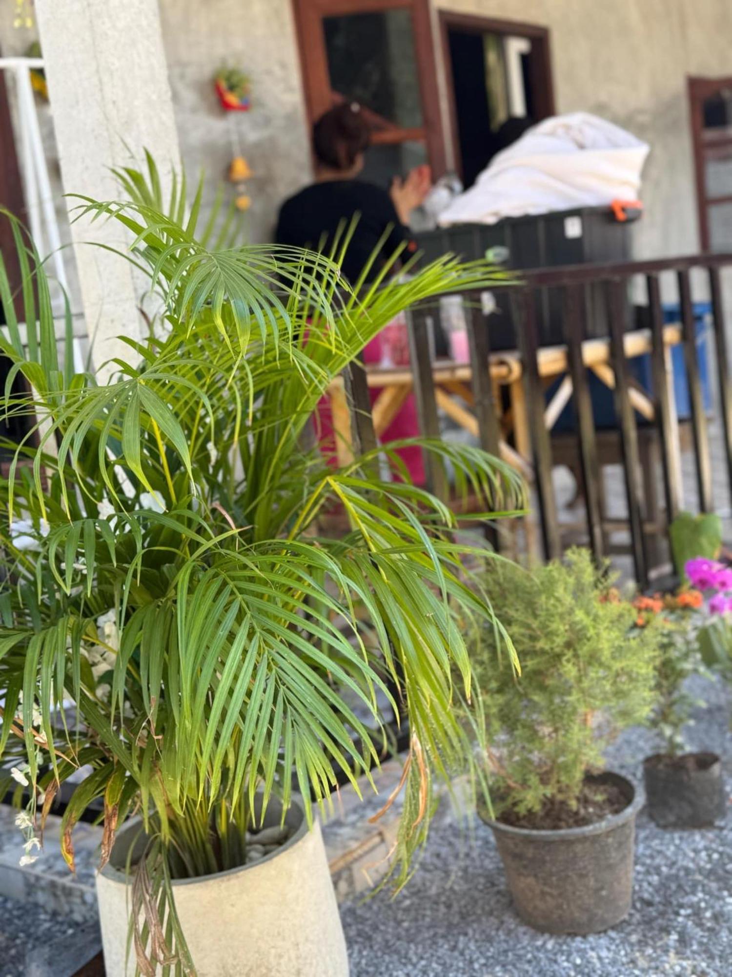 קו לנטה Lanta Natural Hut Garden מראה חיצוני תמונה